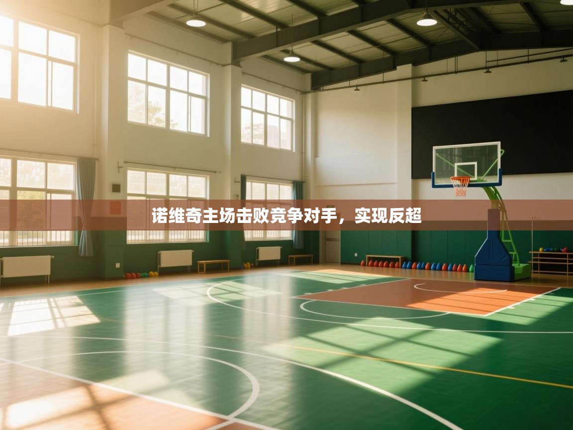 诺维奇主场击败竞争对手，实现反超  第1张