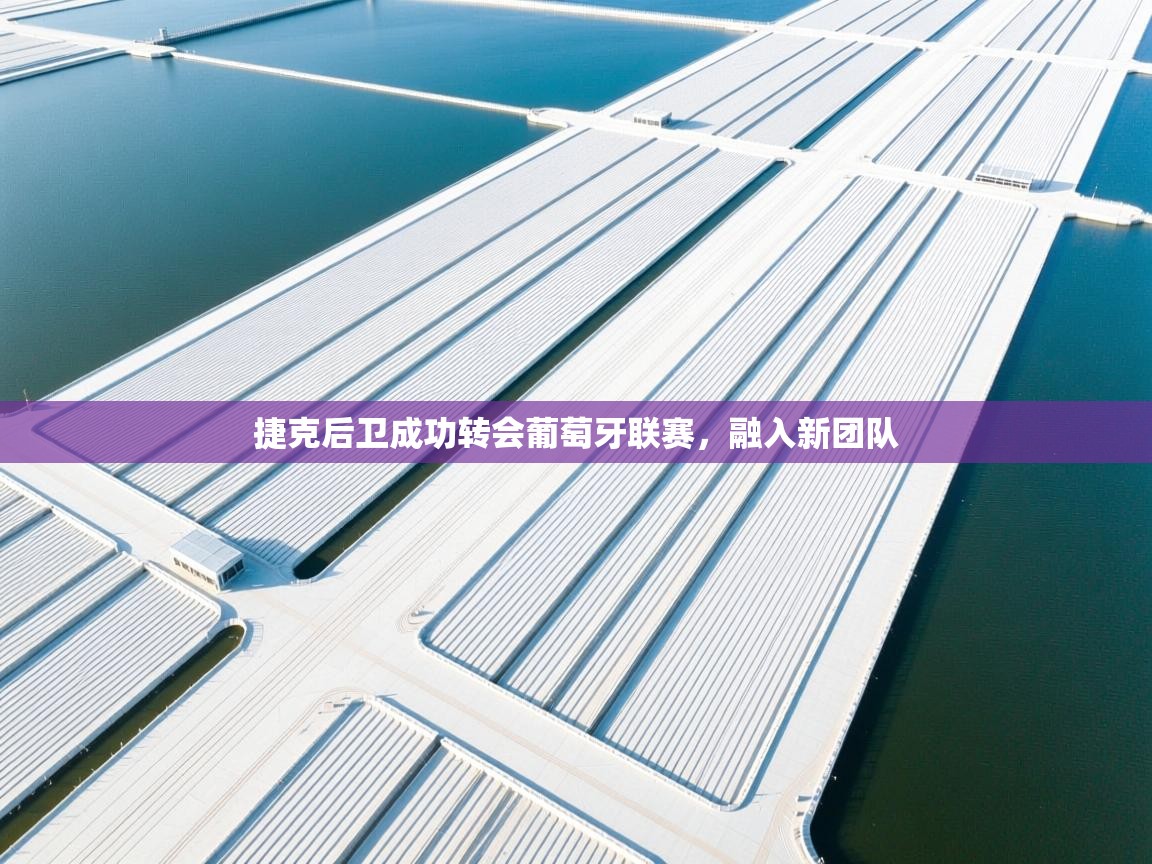 捷克后卫成功转会葡萄牙联赛，融入新团队  第1张