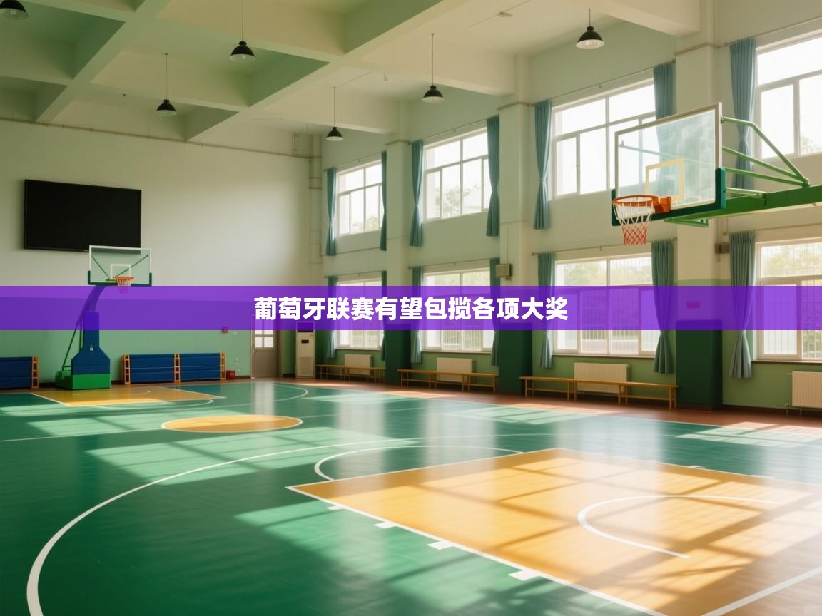 葡萄牙联赛有望包揽各项大奖  第1张