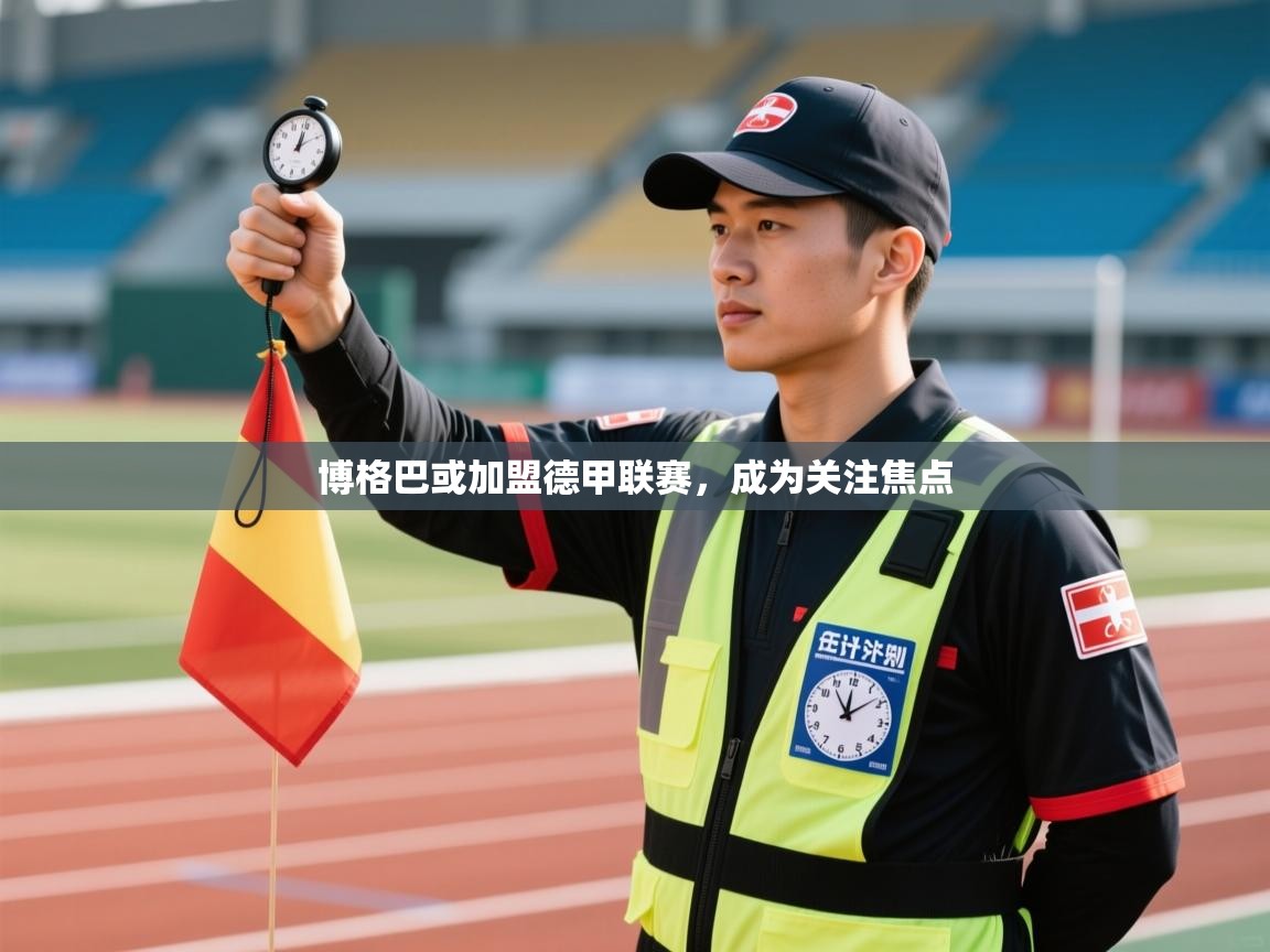 博格巴或加盟德甲联赛，成为关注焦点  第1张