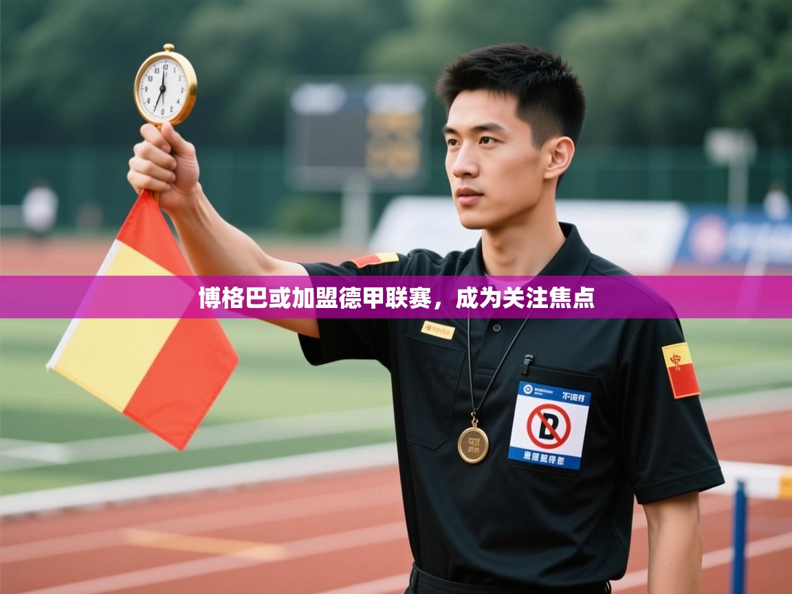 博格巴或加盟德甲联赛，成为关注焦点  第2张